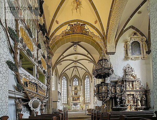 Stadtkirche St. Andreas  Innenansicht  Rudolstadt  Thüringen  Deutschland  Europa