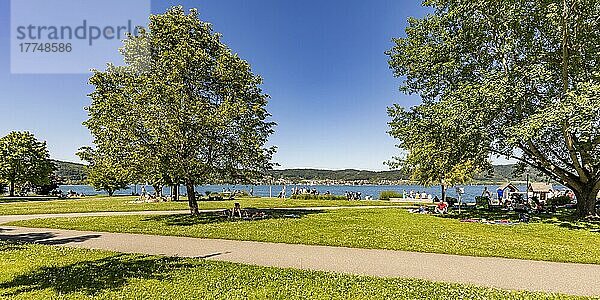 Liegewiese im öffentlichen Uferpark von Bodmann  Bodmann-Ludwigshafen  Bodensee  Baden-Württemberg  Deutschland  Europa