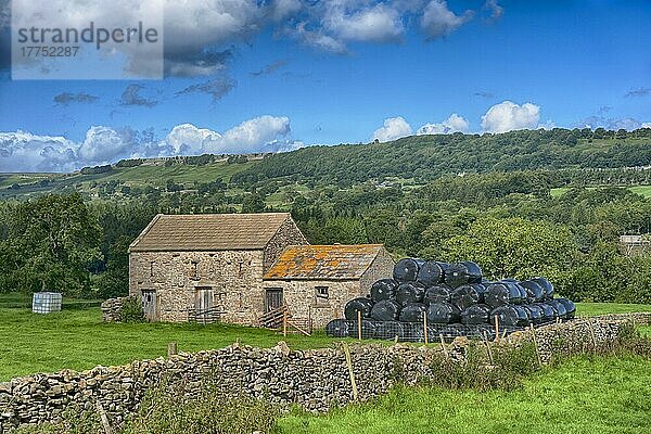 Blick auf Weide  Trockenmauer  steinerne Feldscheune und große schwarze Silageballen  Leyburn  North Yorkshire  England  August