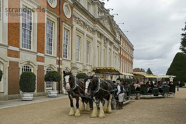 Pferd  Auenlandpferd  zwei berufstätige Erwachsene  ziehen Touristenkutsche im königlichen Palast  Hampton Court Palace  Richmond an der Themse  Großraum London  England  August