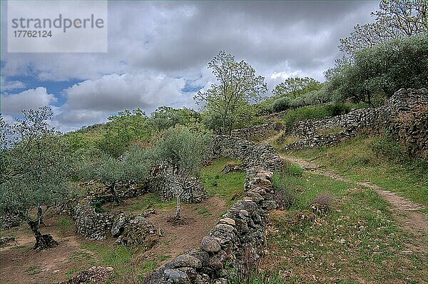 Wanderweg in der Sierra de Montanchez  Extremadura