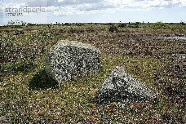 Store Alvaret  Öland  Schweden  Europa