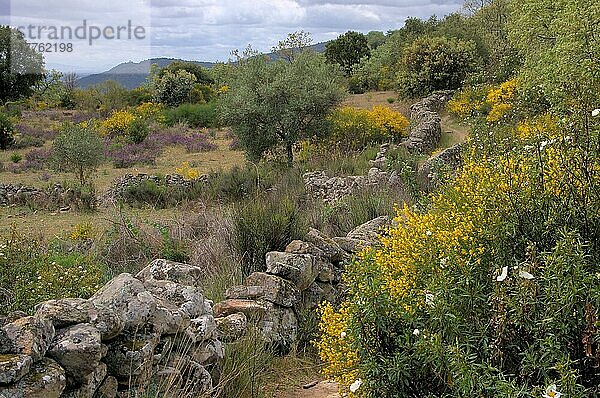 Wanderweg in der Sierra de Montanchez  Extremadura