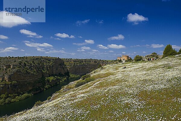 Einsiedelei San Frutos del Duraton  Hoces del Duraton  Duraton-Flussschluchten  Naturpark Hoces del Rio Duraton  Sepulveda  Provinz Segovia  Kastilien-León  Spanien  Europa