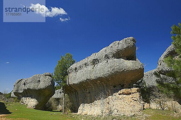 Ciudad Encantada  Verwunschene Stadt  Felsformationen  Serrania de Cuenca  Provinz Cuenca  Castilla-La Mancha  Spanien  Europa