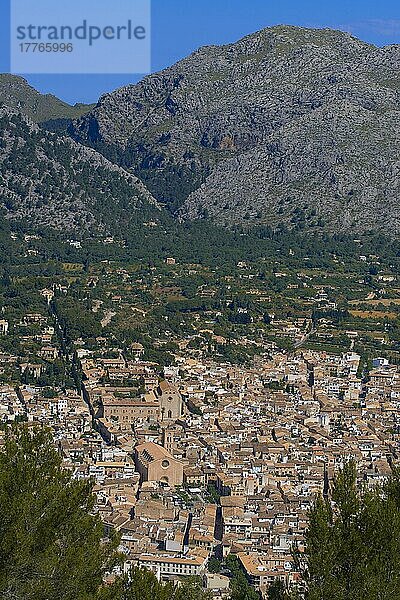 Pollenca  Mallorca  Balearische Inseln  Spanien  Europa