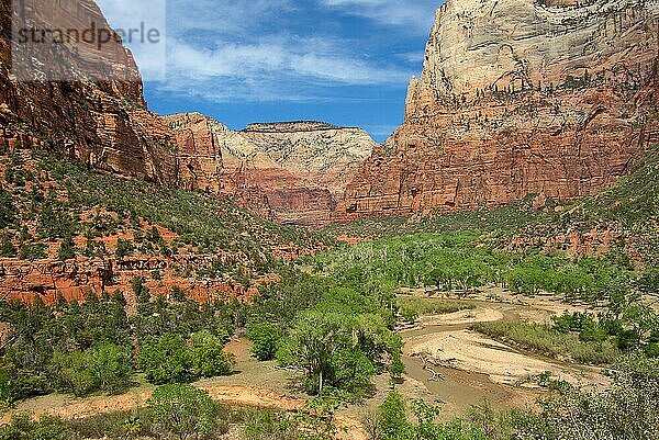 Virgin River  Zion Nationalpark  Utah  USA  Nordamerika