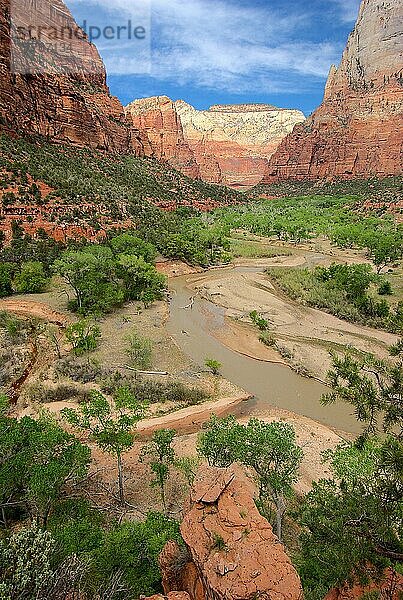 Virgin River  Zion Nationalpark  Utah  USA  Nordamerika