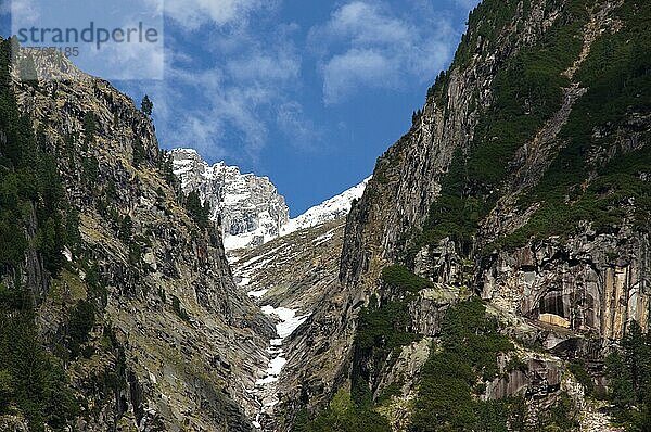 Zemmgrund  Zillertal  Österreich  Europa