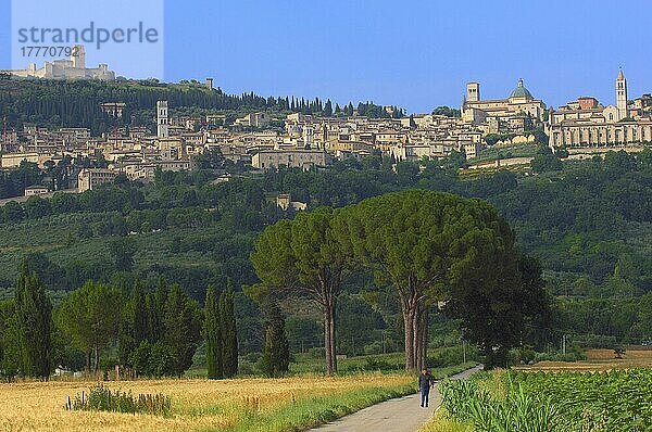 Assisi  UNESCO-Weltkulturerbe  Provinz Perugia  Umbrien  Italien  Europa