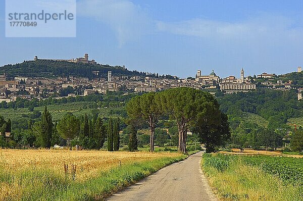 Assisi  UNESCO-Weltkulturerbe  Provinz Perugia  Umbrien  Italien  Europa