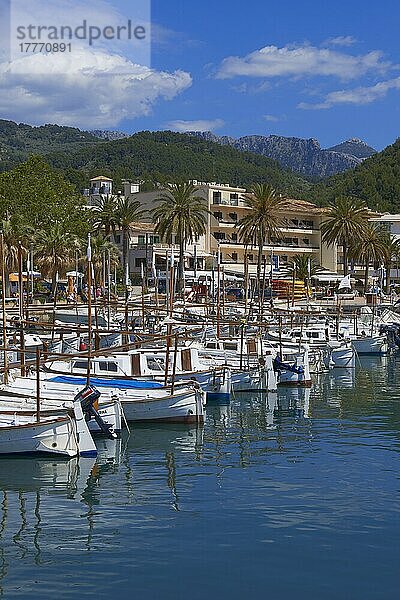 Soller  Marina  Hafen  Mallorca  Mallorca  Balearen  Mittelmeer  Spanien  Europa