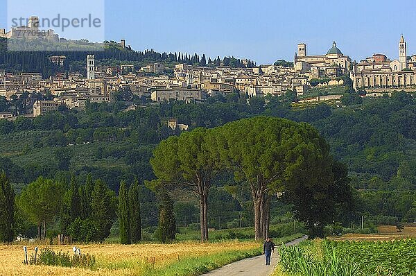 Assisi  UNESCO-Weltkulturerbe  Provinz Perugia  Umbrien  Italien  Europa