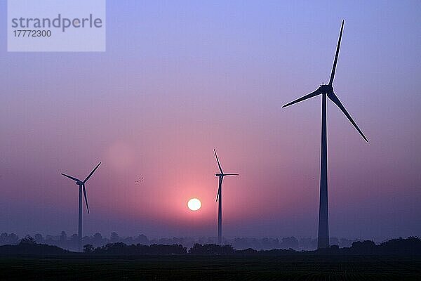 Windkrafträder