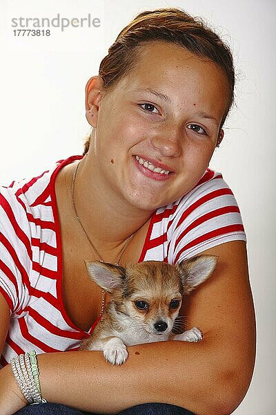 Mädchen mit Chihuahua  langhaarig  Welpe  12 Wochen