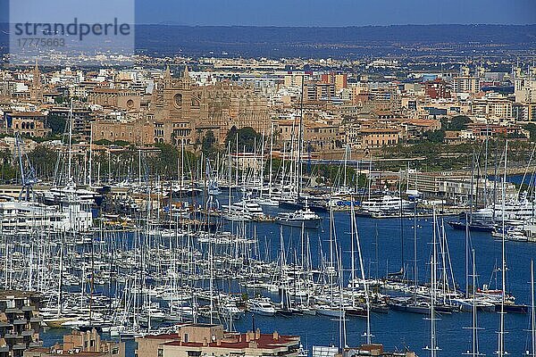 Palma de Mallorca  Hafenbucht  Blick vom Schloss Bellver  Kathedrale  Kathedrale La Seu  Palma  Mallorca  Balearen  Spanien  Europa