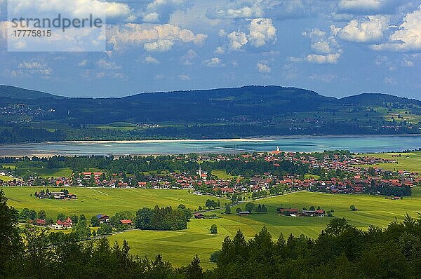 Schwangau  Forggensee  Allgau  bei Füssen  Bayern  Deutschland  Europa