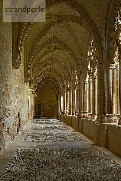 Santa Maria de la Oliva  Zisterzienserkloster  Kloster von La Oliva  Kreuzgang  Carcastillo Navarra  Spanien  Europa
