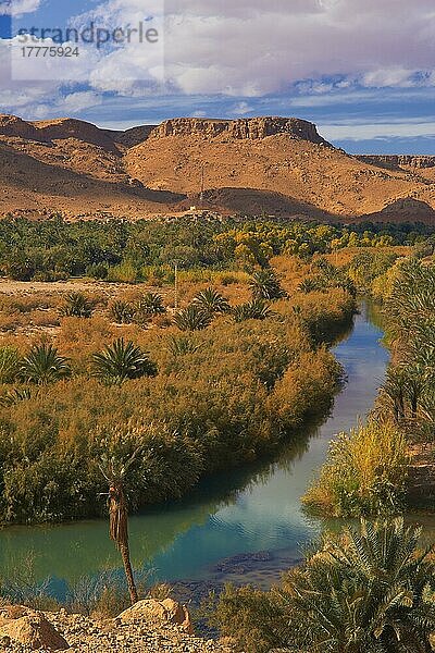 Tafilalet-Oase  Tafilalt-Oase  Ziz-Fluss  Gorges du Ziz  Ziz-Tal  Ziz-Schluchten  Region Tafilalet  Nordafrika  Marokko  Afrika