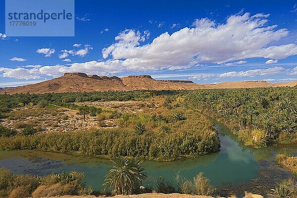 Tafilalet-Oase  Tafilalt-Oase  Ziz-Fluss  Gorges du Ziz  Ziz-Tal  Ziz-Schluchten  Region Tafilalet  Nordafrika  Marokko  Afrika