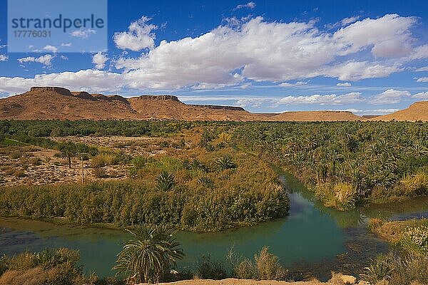 Tafilalet-Oase  Tafilalt-Oase  Ziz-Fluss  Gorges du Ziz  Ziz-Tal  Ziz-Schluchten  Region Tafilalet  Nordafrika  Marokko  Afrika