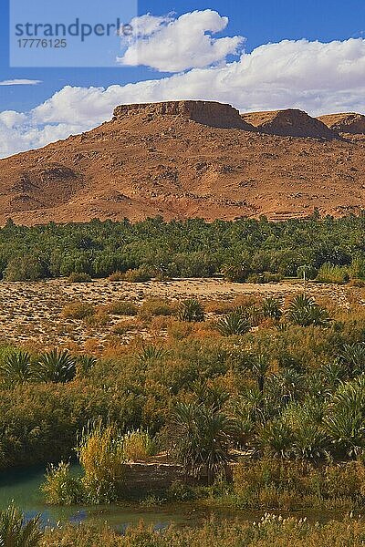 Tafilalet-Oase  Tafilalt-Oase  Ziz-Fluss  Gorges du Ziz  Ziz-Tal  Ziz-Schluchten  Region Tafilalet  Nordafrika  Marokko  Afrika