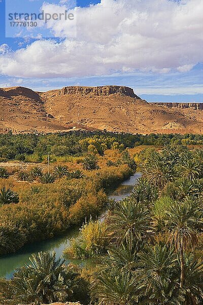 Tafilalet-Oase  Tafilalt-Oase  Ziz-Fluss  Gorges du Ziz  Ziz-Tal  Ziz-Schluchten  Region Tafilalet  Nordafrika  Marokko  Afrika