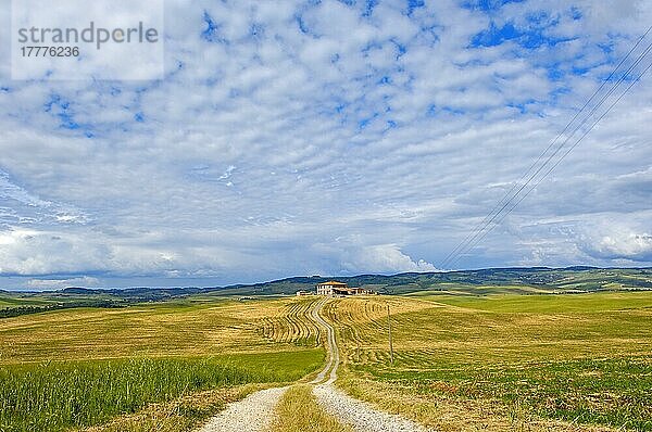 Val d'Orcia  UNESCO-Weltkulturerbe  Felder und Bauernhäuser  Landschaft der Toskana  Pienza  Provinz Siena  Toskana  Italien  Europa