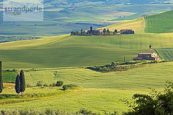 Val d'Orcia  UNESCO-Weltkulturerbe  Felder und Bauernhäuser  Landschaft der Toskana  Pienza  Provinz Siena  Toskana  Italien  Europa