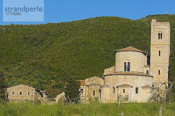 Sant Antimo  Montalcino  Castelnuovo dell'abate  Landschaft der Toskana  Provinz Siena  Toskana  Italien  Europa