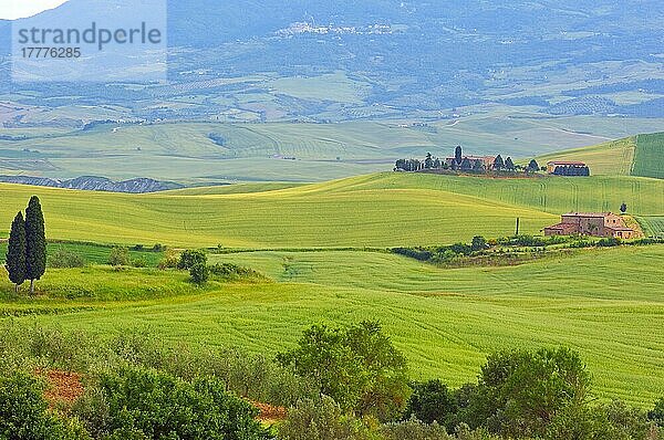 Val d'Orcia  UNESCO-Weltkulturerbe  Felder und Bauernhäuser  Landschaft der Toskana  Pienza  Provinz Siena  Toskana  Italien  Europa