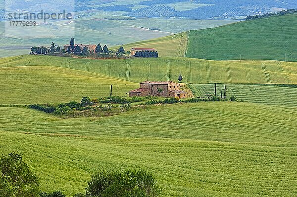 Val d'Orcia  UNESCO-Weltkulturerbe  Felder und Bauernhäuser  Landschaft der Toskana  Pienza  Provinz Siena  Toskana  Italien  Europa