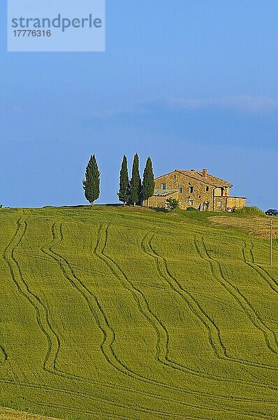 Val d'Orcia  UNESCO-Weltkulturerbe  Felder und Bauernhäuser  Landschaft der Toskana  Pienza  Provinz Siena  Toskana  Italien  Europa