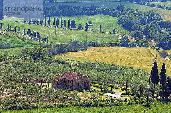 Montichiello  Pienza  Toskana-Landschaft  Val d'Orcia  Orcia-Tal  UNESCO-Weltkulturerbe  Provinz Siena  Toskana  Italien  Europa