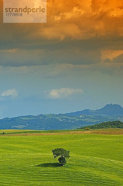 Val d'Orcia  Orcia-Tal  Felder  Toskana-Landschaft  UNESCO-Weltkulturerbe  Pienza  Provinz Siena  Toskana  Italien  Europa