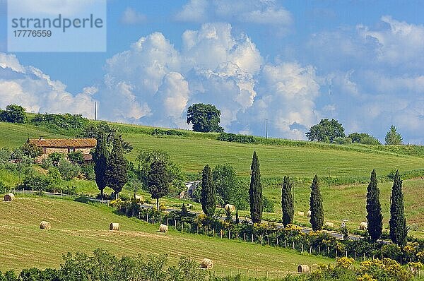 Montichiello  Pienza  Toskana-Landschaft  Val d'Orcia  Orcia-Tal  UNESCO-Weltkulturerbe  Provinz Siena  Toskana  Italien  Europa