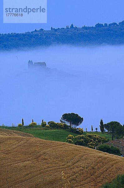 Val d'Orcia. Orcia-Tal in der Morgendämmerung. Morgennebel. UNESCO-Weltkulturerbe. San Quirico d'Orcia. Provinz Siena. Toskana. Landschaft in der Toskana. Italien