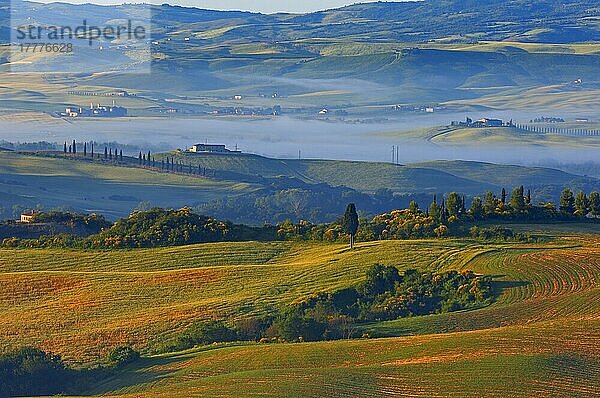 Val d'Orcia. Orcia-Tal in der Morgendämmerung. Morgennebel. UNESCO-Weltkulturerbe. San Quirico d'Orcia. Provinz Siena. Toskana. Landschaft in der Toskana. Italien