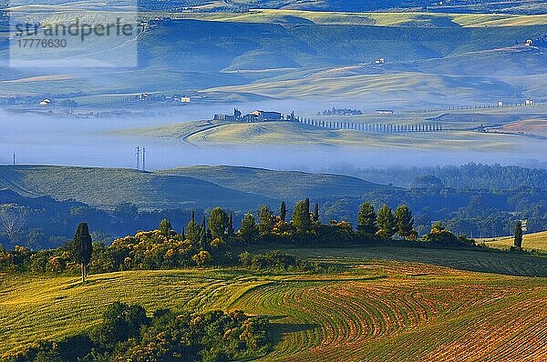 Val d'Orcia. Orcia-Tal in der Morgendämmerung. Morgennebel. UNESCO-Weltkulturerbe. San Quirico d'Orcia. Provinz Siena. Toskana. Landschaft in der Toskana. Italien