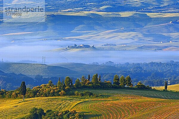 Val d'Orcia. Orcia-Tal in der Morgendämmerung. Morgennebel. UNESCO-Weltkulturerbe. San Quirico d'Orcia. Provinz Siena. Toskana. Landschaft in der Toskana. Italien