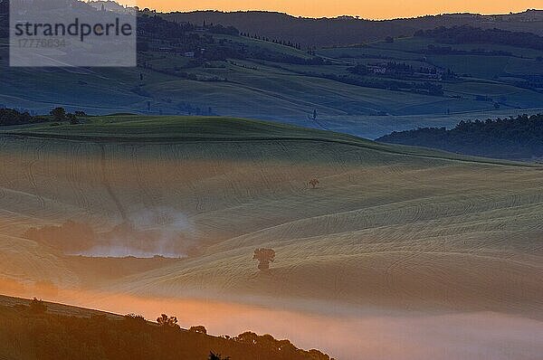 Val d'Orcia. Orcia-Tal in der Morgendämmerung. Morgennebel. UNESCO-Weltkulturerbe. San Quirico d'Orcia. Provinz Siena. Toskana. Landschaft in der Toskana. Italien