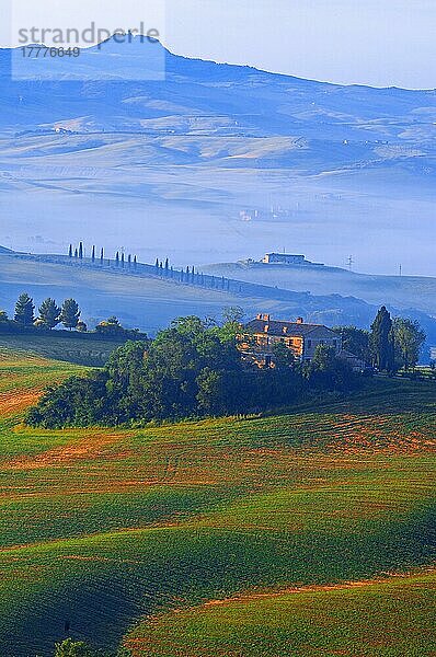 Val d'Orcia. Orcia-Tal in der Morgendämmerung. Morgennebel. UNESCO-Weltkulturerbe. San Quirico d'Orcia. Provinz Siena. Toskana. Landschaft in der Toskana. Italien