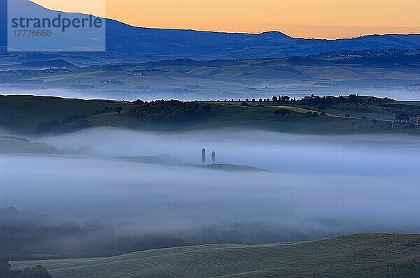 Val d'Orcia. Orcia-Tal in der Morgendämmerung. Morgennebel. UNESCO-Weltkulturerbe. San Quirico d'Orcia. Provinz Siena. Toskana. Landschaft in der Toskana. Italien