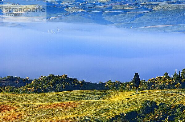 Val d'Orcia. Orcia-Tal in der Morgendämmerung. Morgennebel. UNESCO-Weltkulturerbe. San Quirico d'Orcia. Provinz Siena. Toskana. Landschaft in der Toskana. Italien