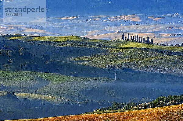 Val d'Orcia. Orcia-Tal in der Morgendämmerung. Morgennebel. UNESCO-Weltkulturerbe. San Quirico d'Orcia. Provinz Siena. Toskana. Landschaft in der Toskana. Italien