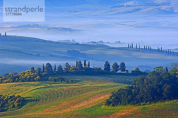 Val d'Orcia. Orcia-Tal in der Morgendämmerung. Morgennebel. UNESCO-Weltkulturerbe. San Quirico d'Orcia. Provinz Siena. Toskana. Landschaft in der Toskana. Italien