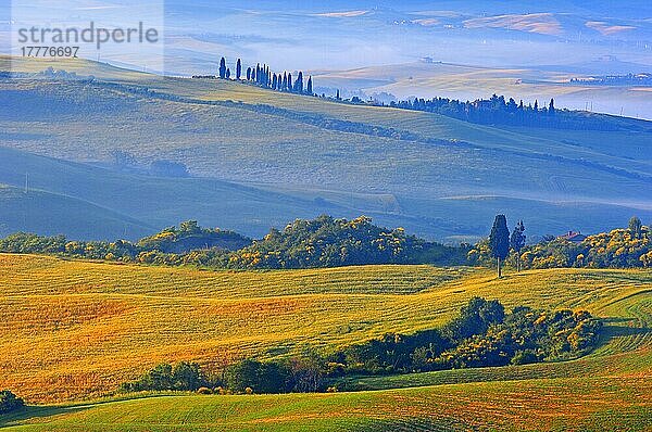 Val d'Orcia. Orcia-Tal in der Morgendämmerung. Morgennebel. UNESCO-Weltkulturerbe. San Quirico d'Orcia. Provinz Siena. Toskana. Landschaft in der Toskana. Italien