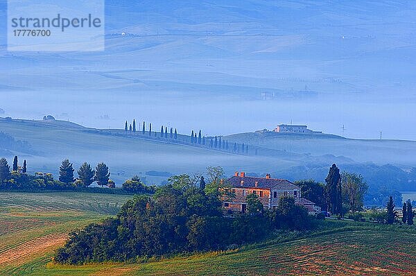 Val d'Orcia. Orcia-Tal in der Morgendämmerung. Morgennebel. UNESCO-Weltkulturerbe. San Quirico d'Orcia. Provinz Siena. Toskana. Landschaft in der Toskana. Italien