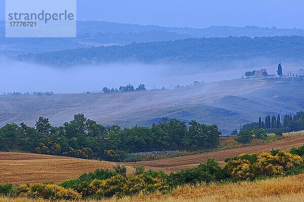 Val d'Orcia. Orcia-Tal in der Morgendämmerung. Morgennebel. UNESCO-Weltkulturerbe. San Quirico d'Orcia. Provinz Siena. Toskana. Landschaft in der Toskana. Italien