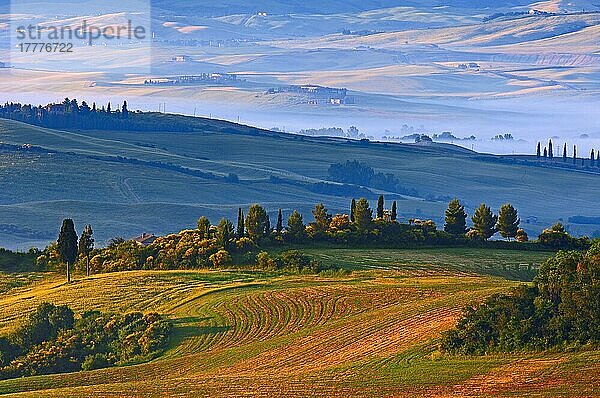 Val d'Orcia. Orcia-Tal in der Morgendämmerung. Morgennebel. UNESCO-Weltkulturerbe. San Quirico d'Orcia. Provinz Siena. Toskana. Landschaft in der Toskana. Italien